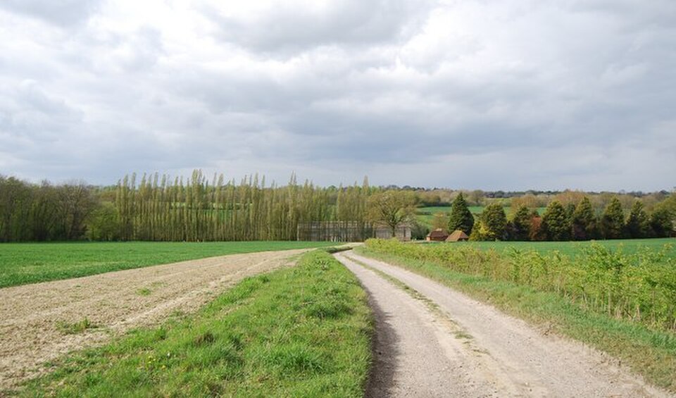 High_Weald_Landscape_Trail_to_Little_Coursehorne_-_geograph.org.uk_-_2464961